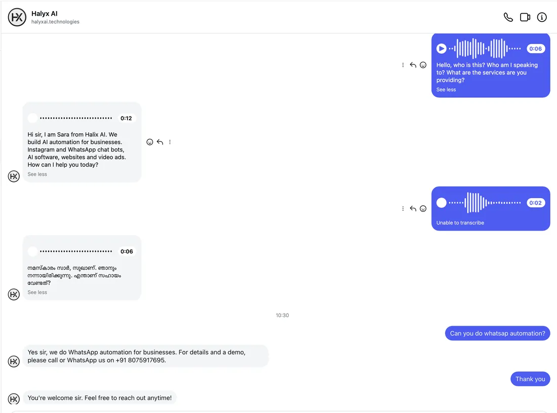 Instagram DM where the HalyxAI agent replies to voice notes and text messages in English and Malayalam